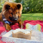 Red Velvet Dog Birthday Cake Kit