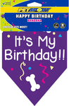 Happy Birthday Bandana  by PetSport