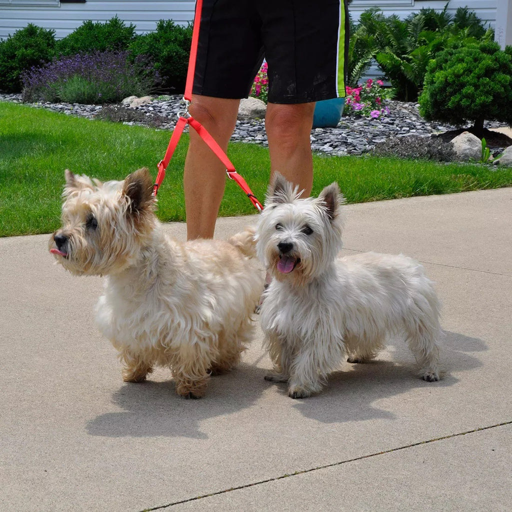 Leash Extension for 2 Dogs - 18"-24" Adjustable Coupler