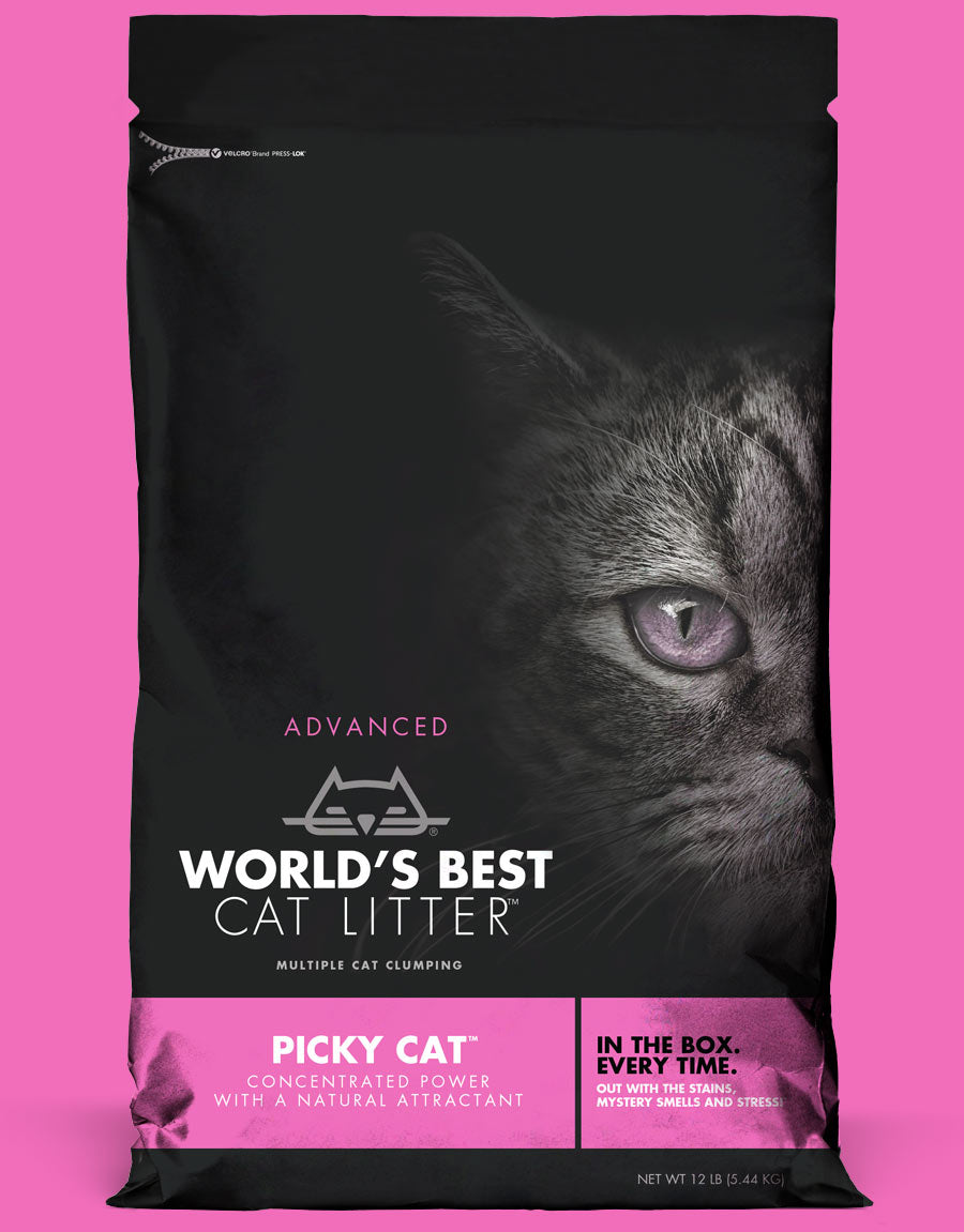 World's Best Picky Cat Unscented Clumping Corn Cat Litter