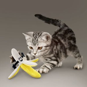 Banana Cat Toy