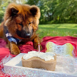 Birthday Cake Flavor Dog Birthday Cake Kit