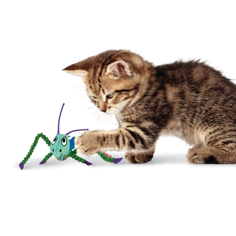 Crackles Grasshopper Cat Toy by Kong