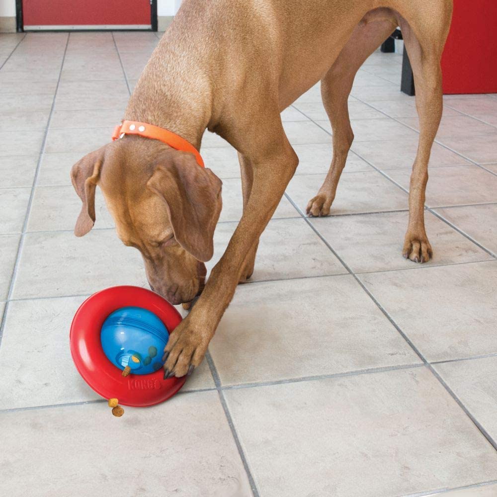 Gyro - Interactive Treat Dispensing Dog Toy by Kong