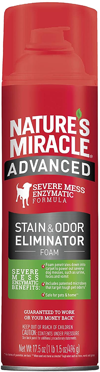 Nature's Miracle Advanced Stain & Odor Eliminator Dog