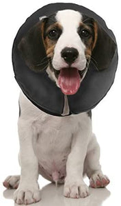 Inflatable Recovery Collar for Dogs & Cats