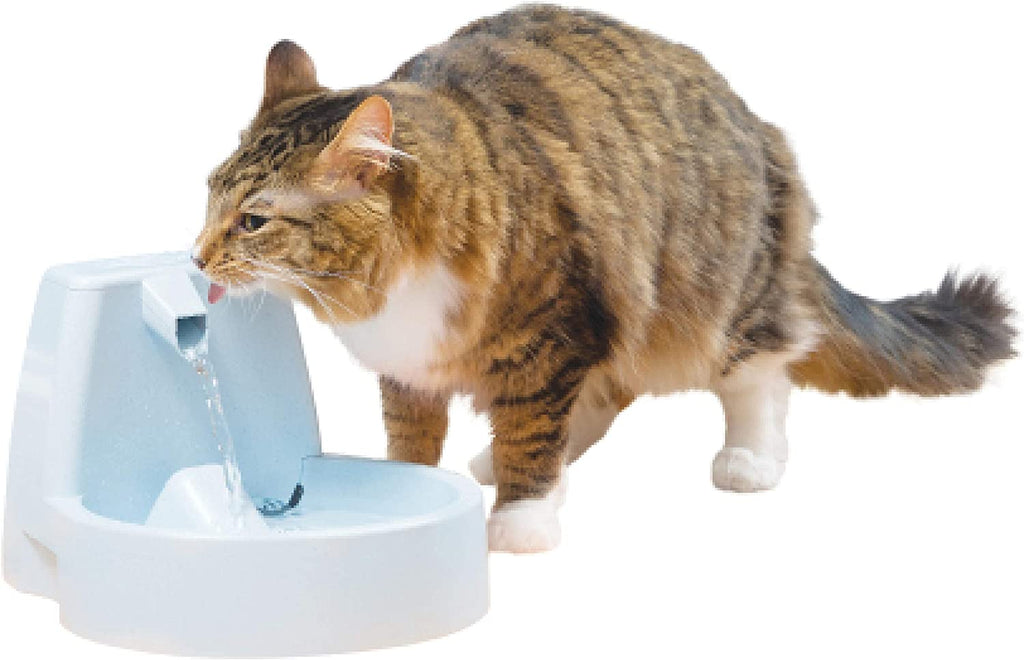 Dog & Cat Water Fountain, 50 oz