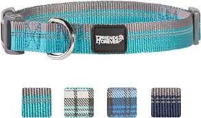 Friends Forever  Reflective Pet Collar