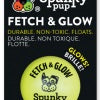 Fetch & Glow Ball for Dogs