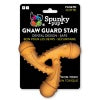 Gnaw Guard Foam Star by Spunky Pup