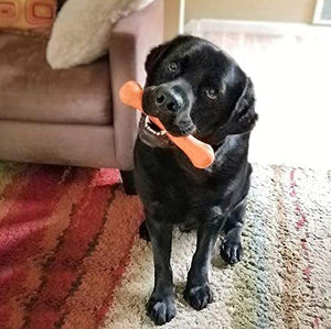 Jolly Bone Floating Dog Toy  by Jolly Pet