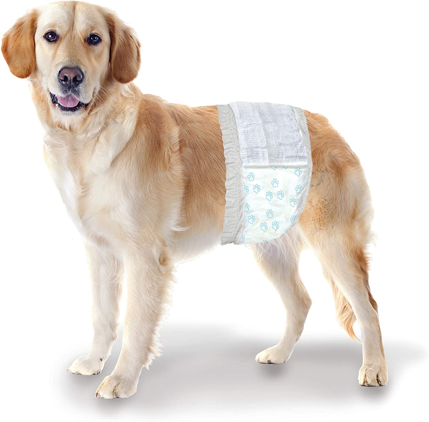 Wee-Wee Disposable Male Dog Wraps