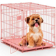 MidWest iCrate Single Door Dog Crate, Pink, 24-in