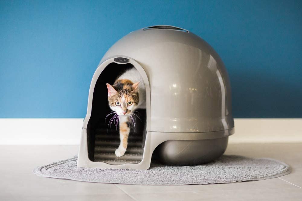 Dome Litter Pan for Cats