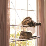 Cat Window Lounger -Double Level