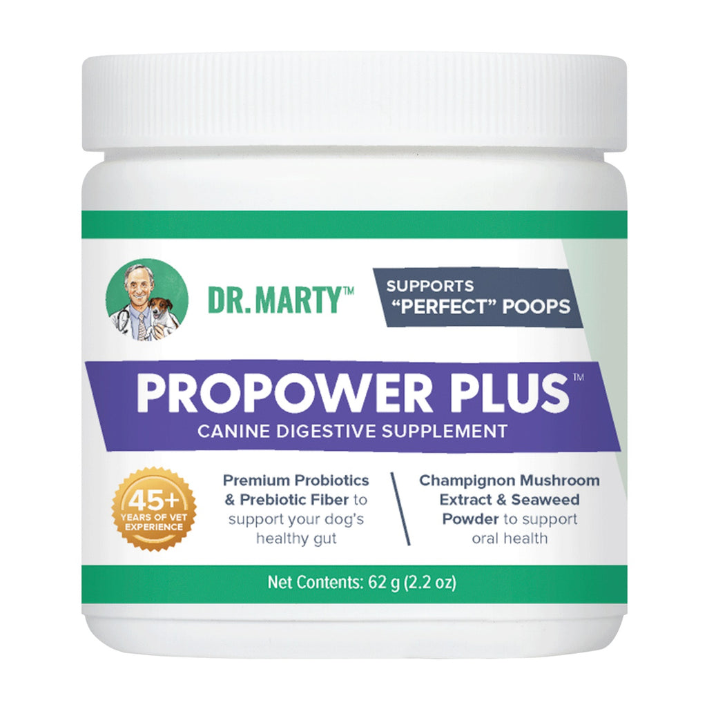 Digestive Supplement for Dogs -ProPower Plus