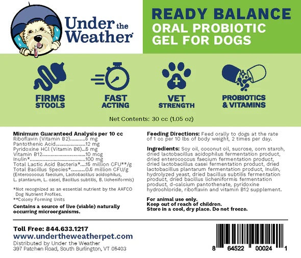 Probiotic Supplement For Dogs - Ready Balance