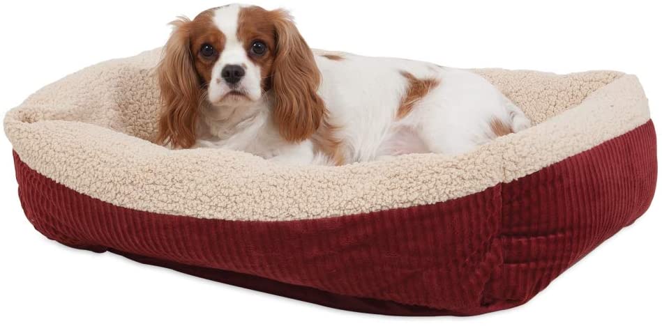 Self Warming Beds for Dogs