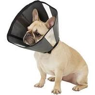 Soft Cone Recovery Collar by ZenPet