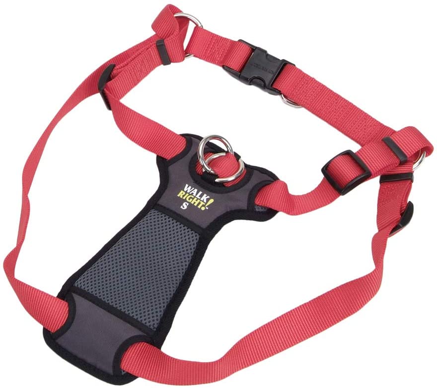 WalkRight !®  Front-Connect Harness - Red by Coastal
