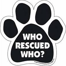 Who Rescued Who Paw Magnet