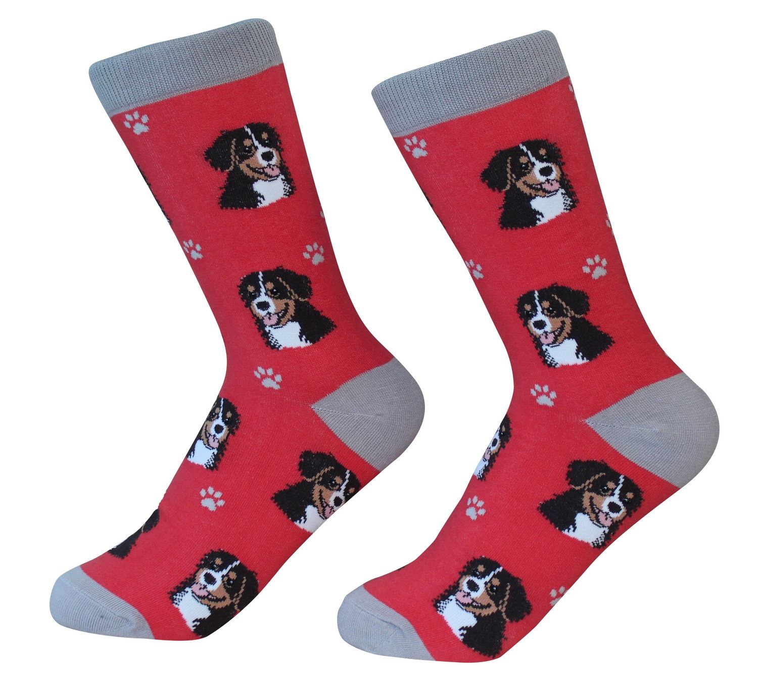 Bernese Mountain Dog Socks - Unisex