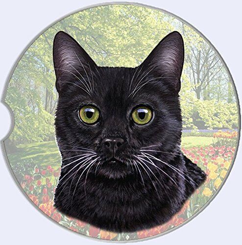 Black Cat Car Coaster