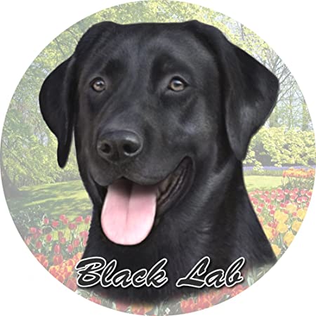 Labrador (Black) Car Coaster