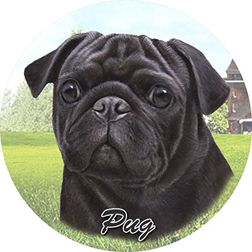 Pug Black Car Coaster