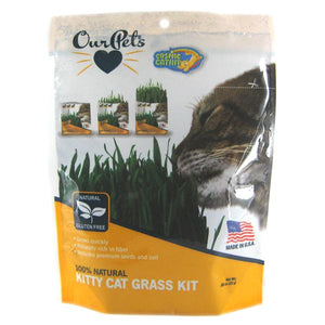 Catnip Grass Growing Kit