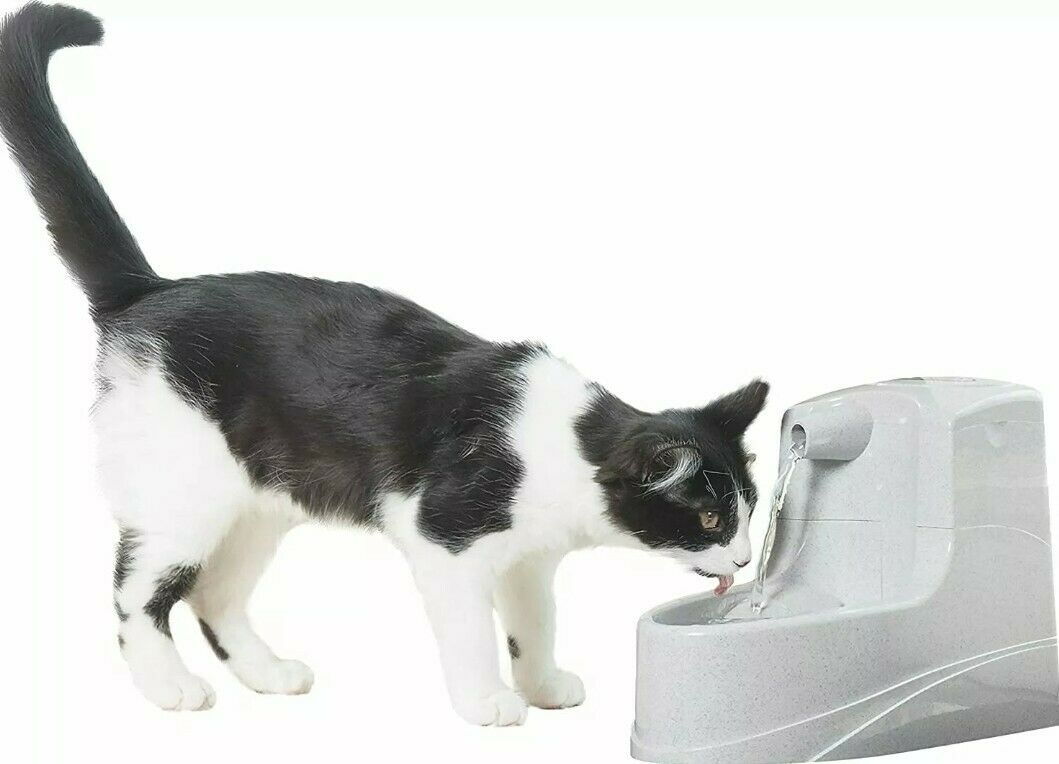 Drinkwell Mini Pet Fountain for Cats & Dogs