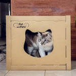 The Box - Cat House