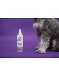 Probiotic Itch Relief for Dogs & Cats