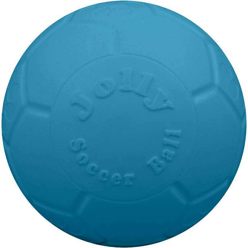 Soccer Ball Dog Toy - Blue