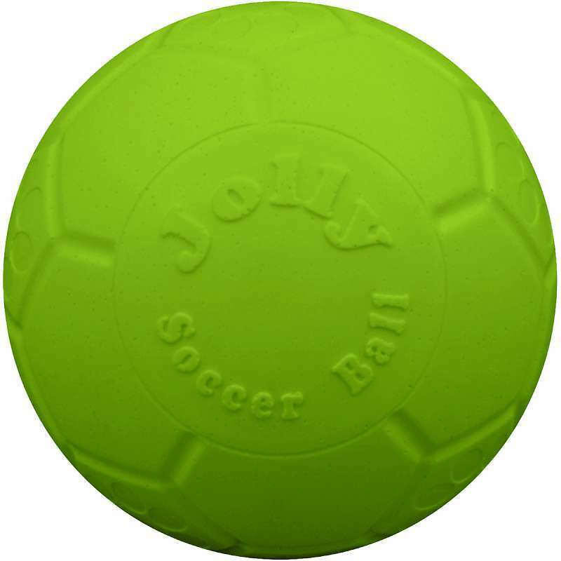 Soccer Ball Dog Toy - Green
