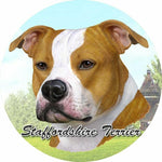 Staffordshire Terrier Car Coaster