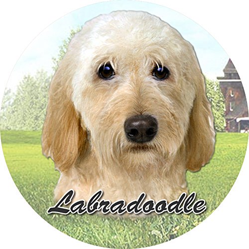 Labradoodle (Cream) Car Coaster